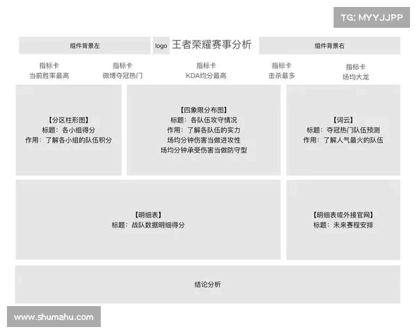 赛事分析师;赛事分析师是干嘛的